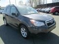 Dark Gray Metallic - Forester 2.5i Premium Photo No. 4