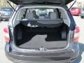 Dark Gray Metallic - Forester 2.5i Premium Photo No. 19