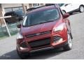 2015 Sunset Metallic Ford Escape SE 4WD  photo #2