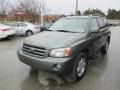 2007 Oasis Green Pearl Toyota Highlander Limited 4WD  photo #9
