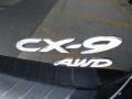 2010 Brilliant Black Mazda CX-9 Touring AWD  photo #8