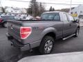 Sterling Gray Metallic - F150 STX SuperCab 4x4 Photo No. 6