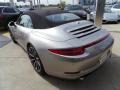 Platinum Silver Metallic - 911 Carrera 4S Cabriolet Photo No. 5