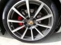 Platinum Silver Metallic - 911 Carrera 4S Cabriolet Photo No. 10