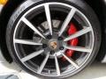 Platinum Silver Metallic - 911 Carrera 4S Cabriolet Photo No. 11
