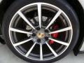 Platinum Silver Metallic - 911 Carrera 4S Cabriolet Photo No. 15