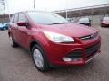 2015 Ruby Red Metallic Ford Escape SE 4WD  photo #10