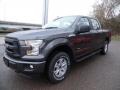 Magnetic Metallic 2015 Ford F150 Gallery