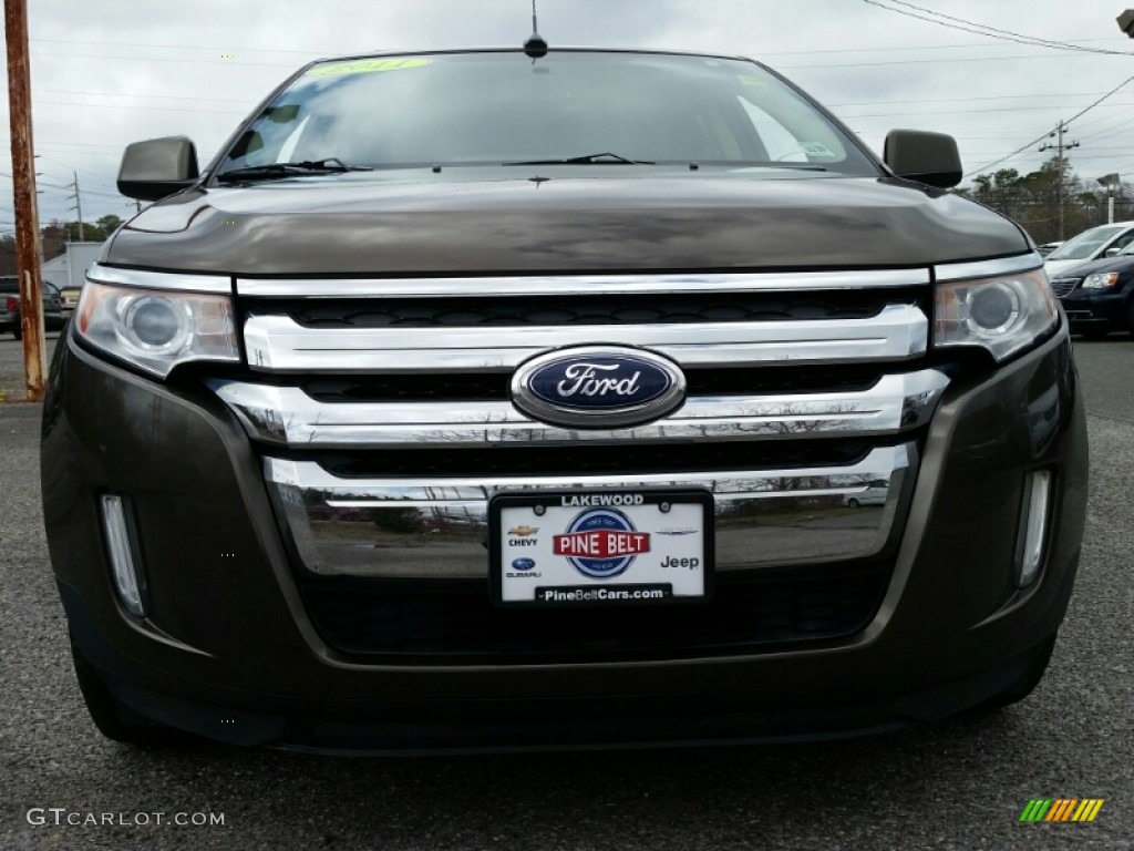 2011 Edge Limited - Earth Metallic / Charcoal Black photo #2