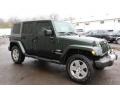 2010 Natural Green Pearl Jeep Wrangler Unlimited Sahara 4x4  photo #7