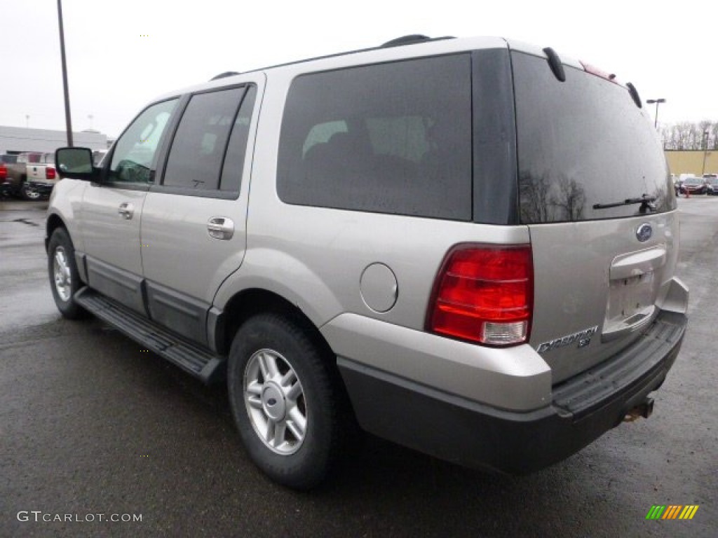 2004 Expedition XLT 4x4 - Silver Birch Metallic / Medium Flint Gray photo #2