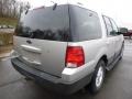 2004 Silver Birch Metallic Ford Expedition XLT 4x4  photo #3