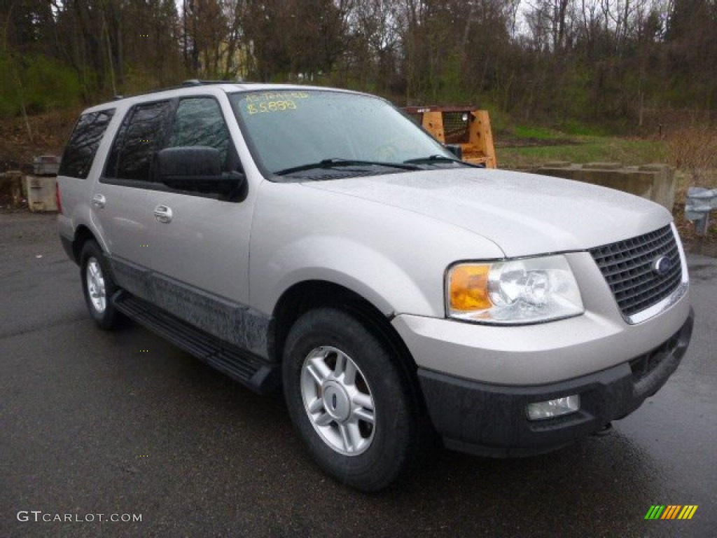 2004 Expedition XLT 4x4 - Silver Birch Metallic / Medium Flint Gray photo #4