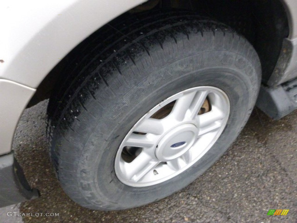 2004 Expedition XLT 4x4 - Silver Birch Metallic / Medium Flint Gray photo #6