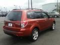 Paprika Red Pearl - Forester 2.5 X Premium Photo No. 7