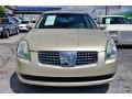 Champagne Mist Metallic - Maxima 3.5 SE Photo No. 2