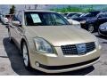 Champagne Mist Metallic - Maxima 3.5 SE Photo No. 3