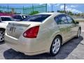 Champagne Mist Metallic - Maxima 3.5 SE Photo No. 9
