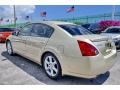Champagne Mist Metallic - Maxima 3.5 SE Photo No. 61