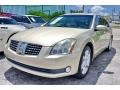 Champagne Mist Metallic - Maxima 3.5 SE Photo No. 66