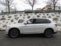 Alpine White - X3 xDrive28i Photo No. 2