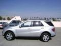 Iridium Silver Metallic - ML 500 4Matic Photo No. 2