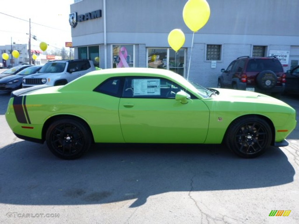 2015 Challenger R/T Scat Pack - Sublime Green Pearl / Black photo #5