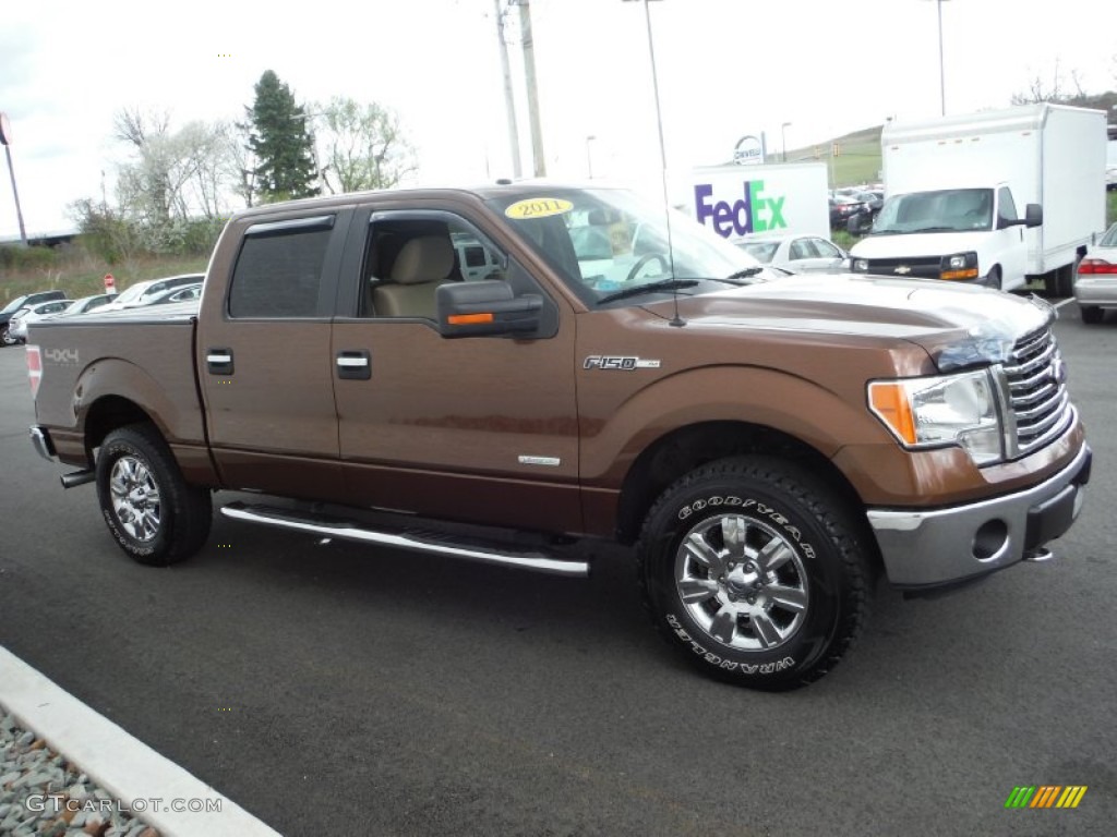 2011 F150 XLT SuperCrew 4x4 - Golden Bronze Metallic / Pale Adobe photo #10