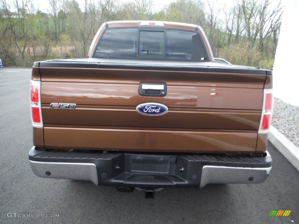 2011 F150 XLT SuperCrew 4x4 - Golden Bronze Metallic / Pale Adobe photo #13