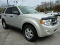 2009 Light Sage Metallic Ford Escape XLT V6 4WD  photo #12