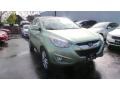 Kiwi Green 2011 Hyundai Tucson Limited AWD