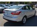 Ingot Silver Metallic - Focus SEL Sedan Photo No. 3