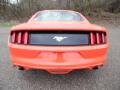 2015 Competition Orange Ford Mustang EcoBoost Coupe  photo #4