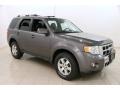 2010 Sterling Grey Metallic Ford Escape Limited V6  photo #1