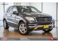 Steel Grey Metallic - ML 350 Photo No. 1