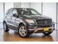 Steel Grey Metallic - ML 350 Photo No. 12