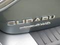 2010 Sage Green Metallic Subaru Impreza Outback Sport Wagon  photo #5