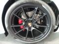 2015 Porsche 911 Carrera GTS Cabriolet Wheel and Tire Photo