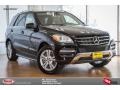 Black - ML 350 Photo No. 1
