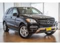 Black - ML 350 Photo No. 11