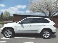 Alpine White - X5 xDrive50i Photo No. 2