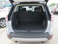 Ingot Silver Metallic - Escape Titanium Photo No. 15
