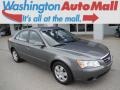 Willow Gray - Sonata GLS Photo No. 1