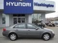 Willow Gray - Sonata GLS Photo No. 2