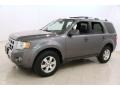 Sterling Grey Metallic 2010 Ford Escape Gallery