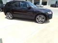 Panther Black Crystal - SQ5 Premium Plus 3.0 TFSI quattro Photo No. 8