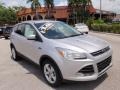 2014 Ingot Silver Ford Escape SE 2.0L EcoBoost  photo #1