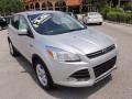 2014 Ingot Silver Ford Escape SE 2.0L EcoBoost  photo #2