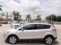 2014 Ingot Silver Ford Escape SE 2.0L EcoBoost  photo #13