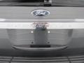 2015 Magnetic Metallic Ford Expedition Limited  photo #15